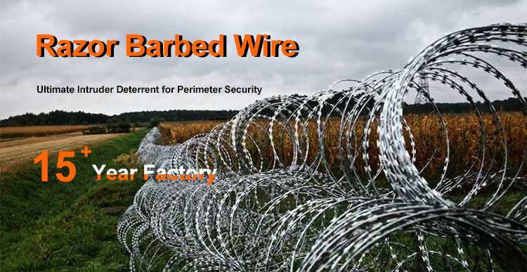 razor-barbed-wire.jpg